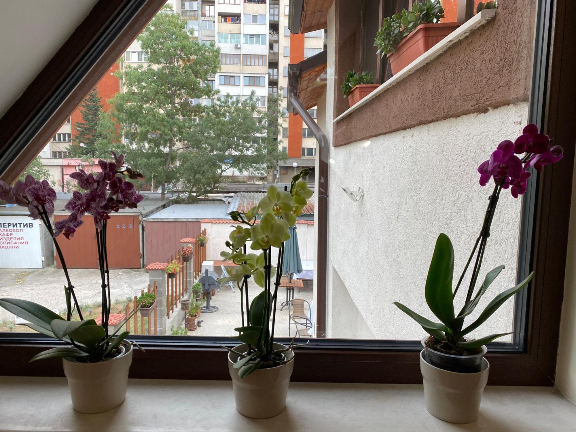 Guest house Family House - Free Parking Sofia