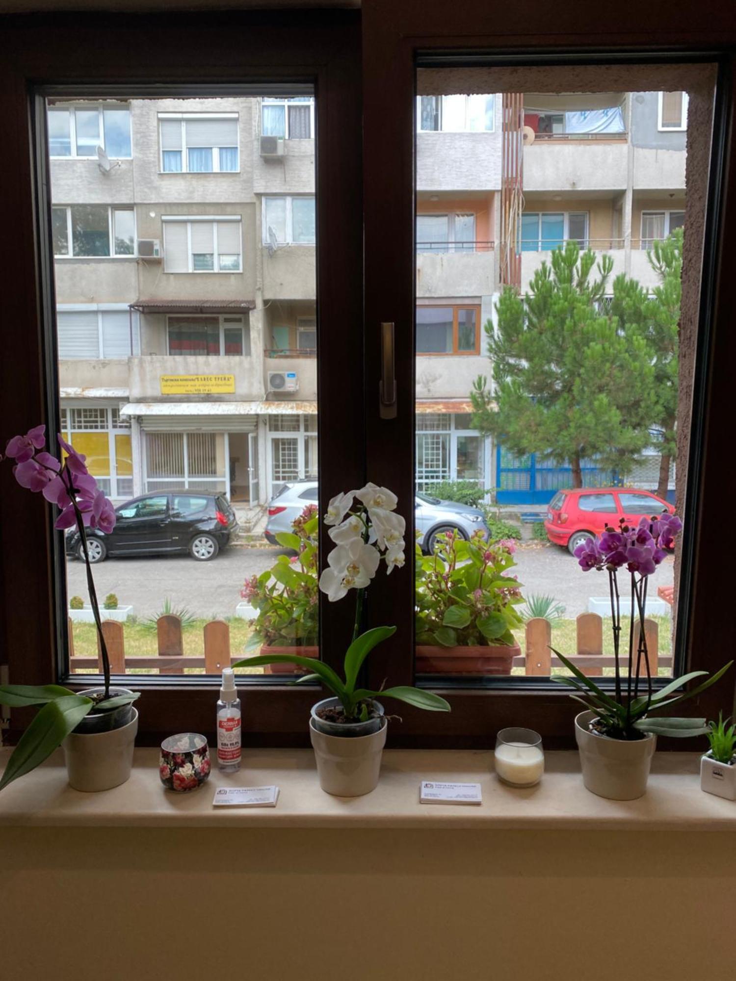 Guest house Family House - Free Parking Sofia