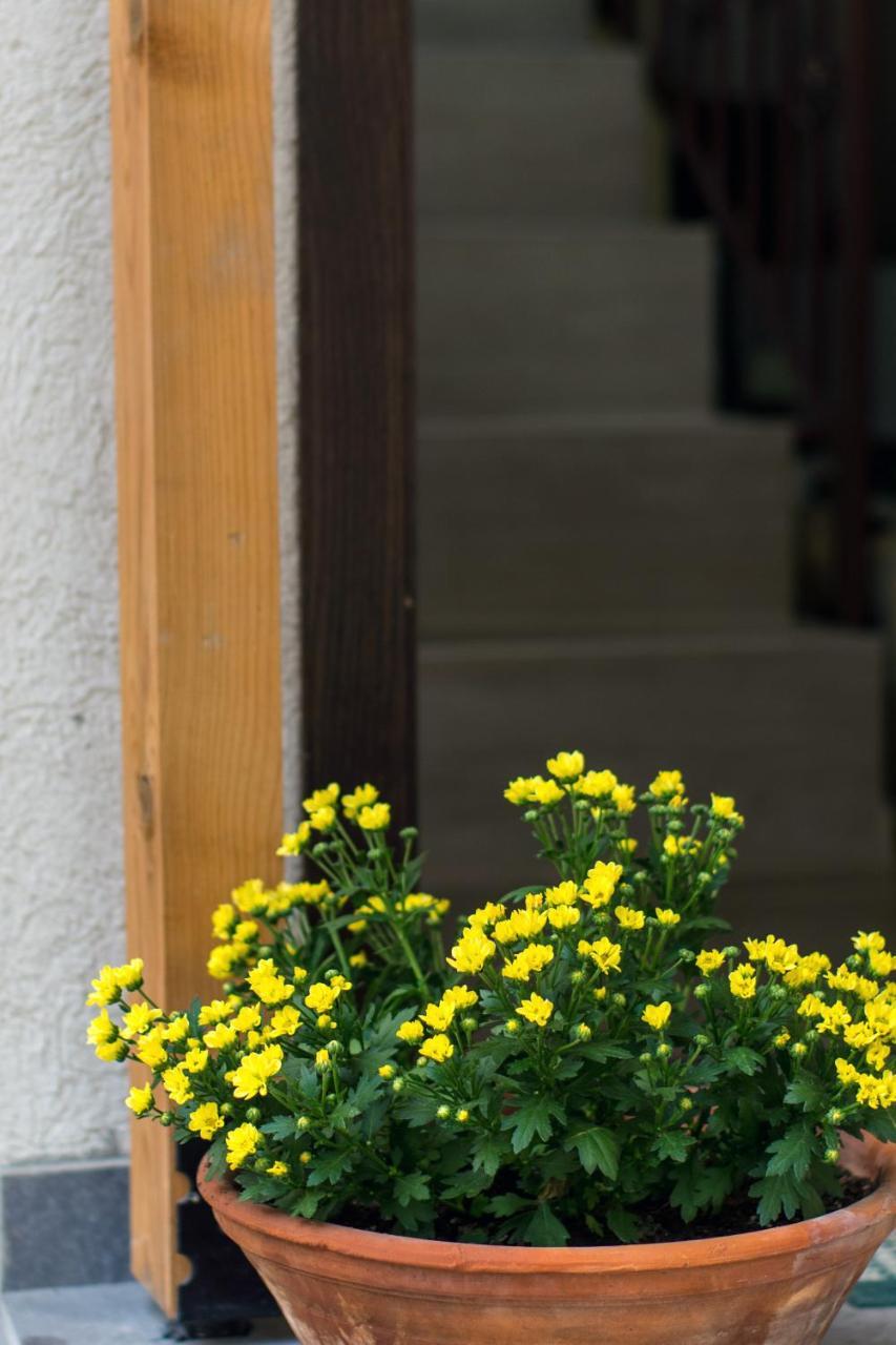 Family House - Free Parking 3* Sofia