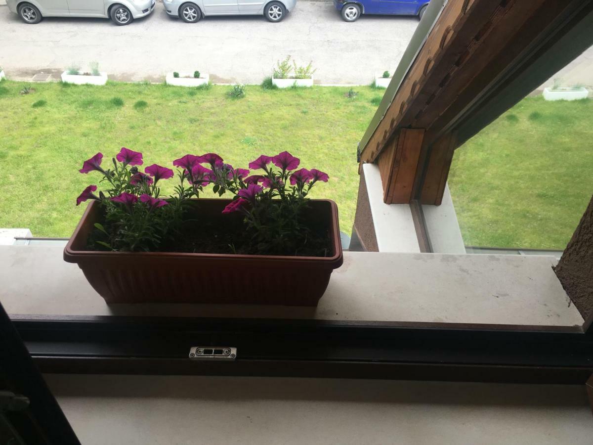 Affittacamere Family House - Free Parking